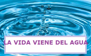 EL AGUA ES VIDA